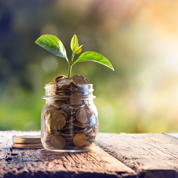 Οργανωμένα Βιβλία Τήρησης Λογιστικών Βιβλίων